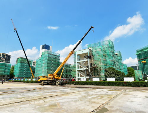 明珠小学改扩建工程有序推进，景观工程为校园增添新气象