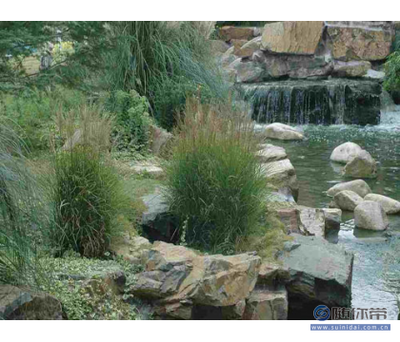 百草园供应可靠的园林景观工程，宁波与博罗县专业服务